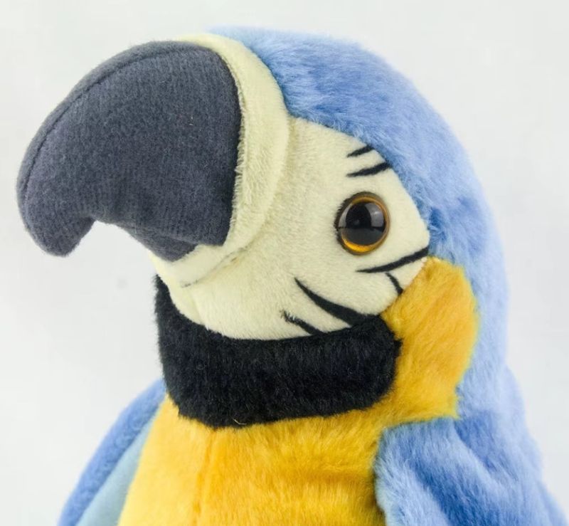 Comprar Loro Parlante Electronico en Electroshopy - Ángulo 2